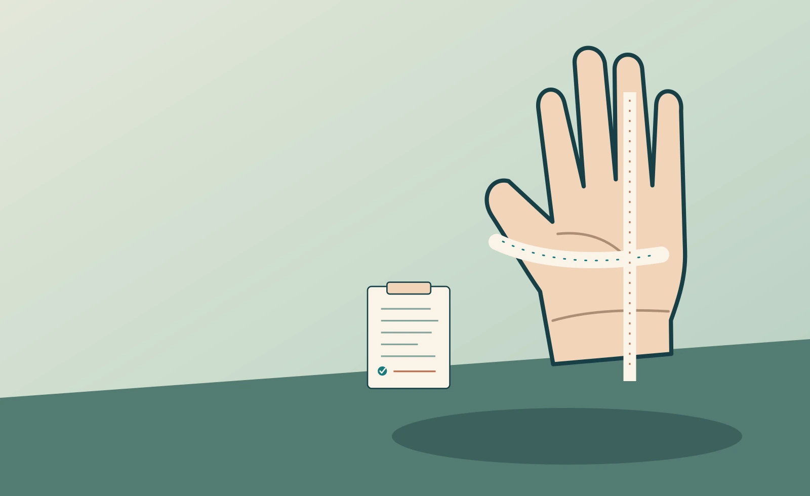 Original illustration of a hand with two distinct measurement directions